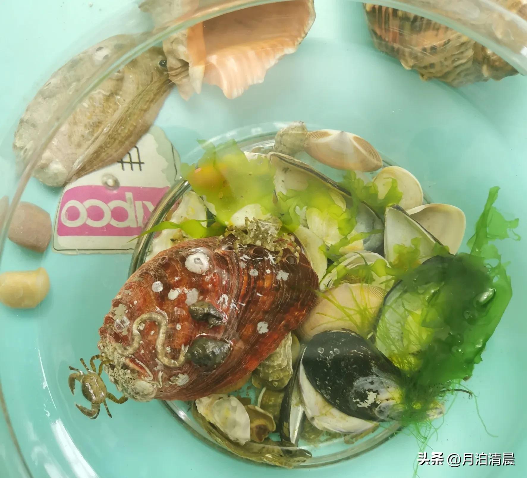 五一去日照不去这些景点等于白去,五一假期日照有哪些好玩的地方