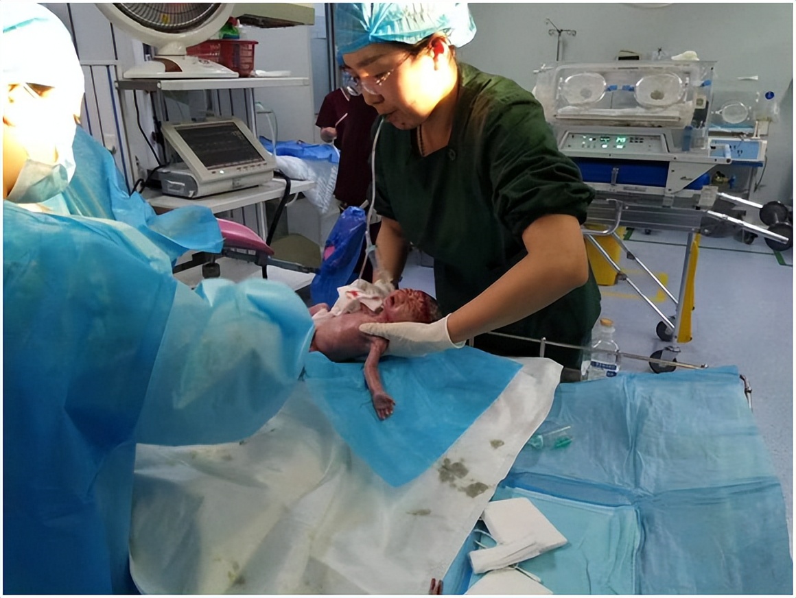 心有猛虎细嗅蔷薇曾仕强,心有猛虎细嗅蔷薇最好的诠释