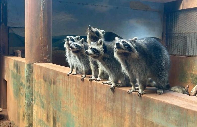 昆明旅行最值得打卡的十大景点,昆明周边湿地公园网红打卡地