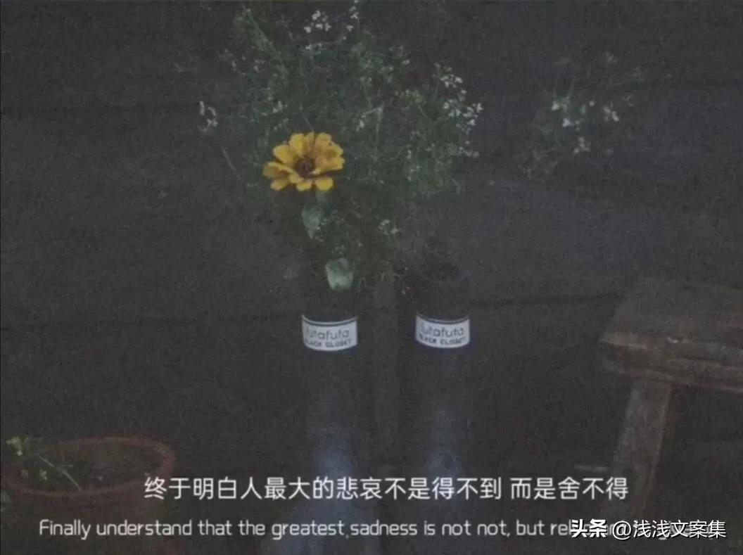 双向奔赴的爱：这一生山长水阔要跟喜欢的你过有趣的日子