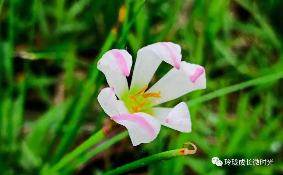 怼人的本事是这样练出来的,怼人都是门学问