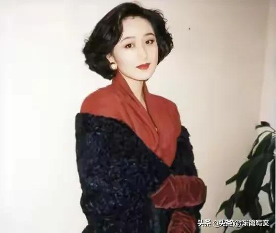 黄秋燕为何败给利智,黄秋燕李连杰恩怨