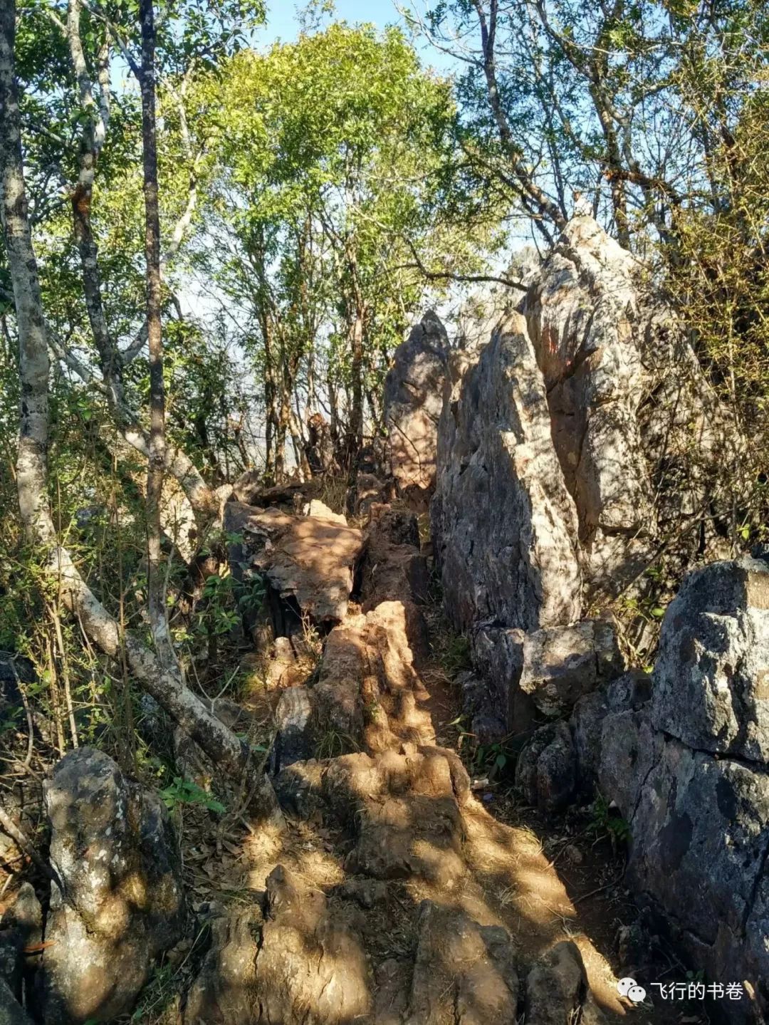 攀普洱天壁山之西门崖子：一日凌云出，群山齐失自高心
