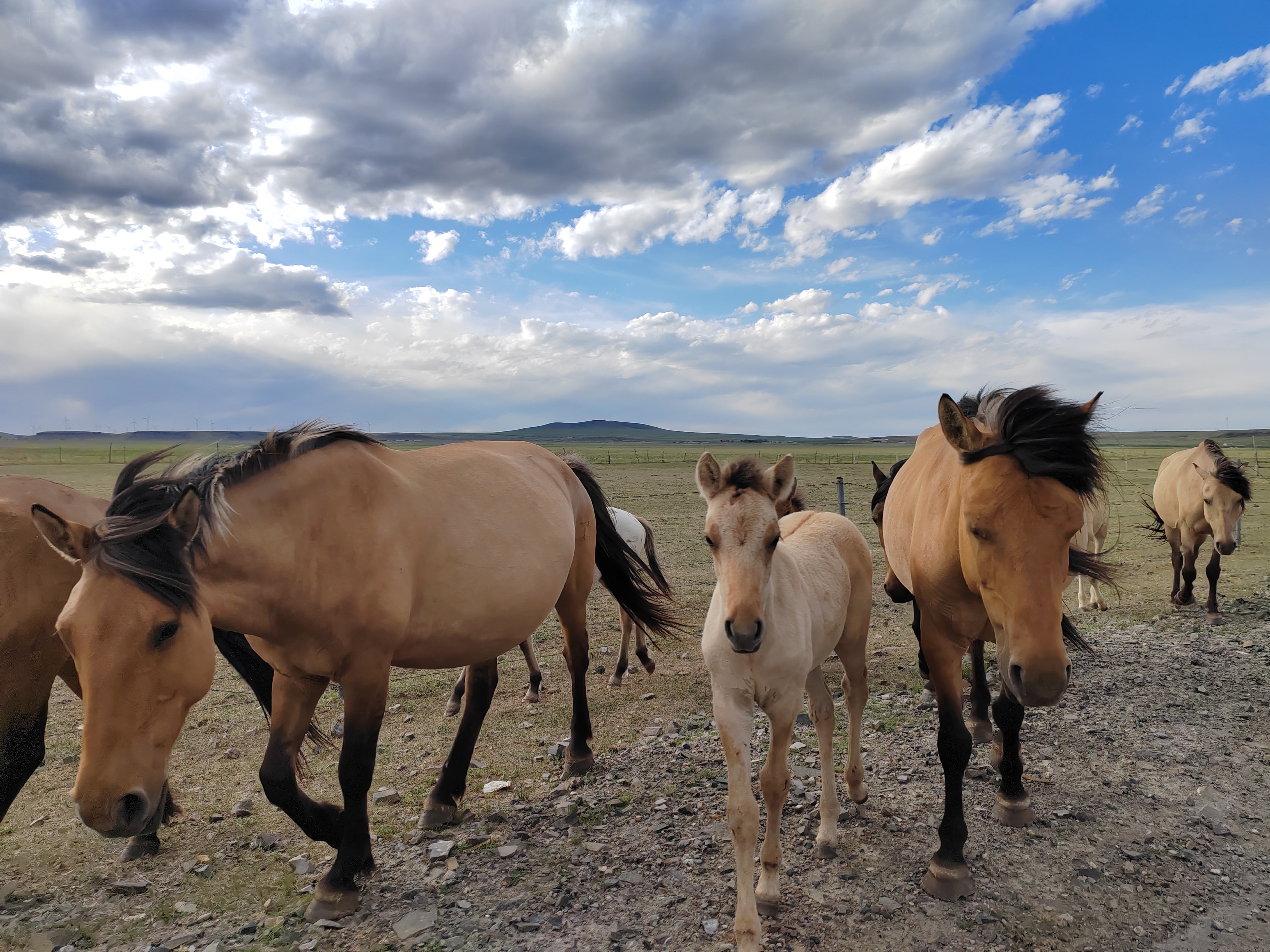 日记去萨尔浒,日记看日落