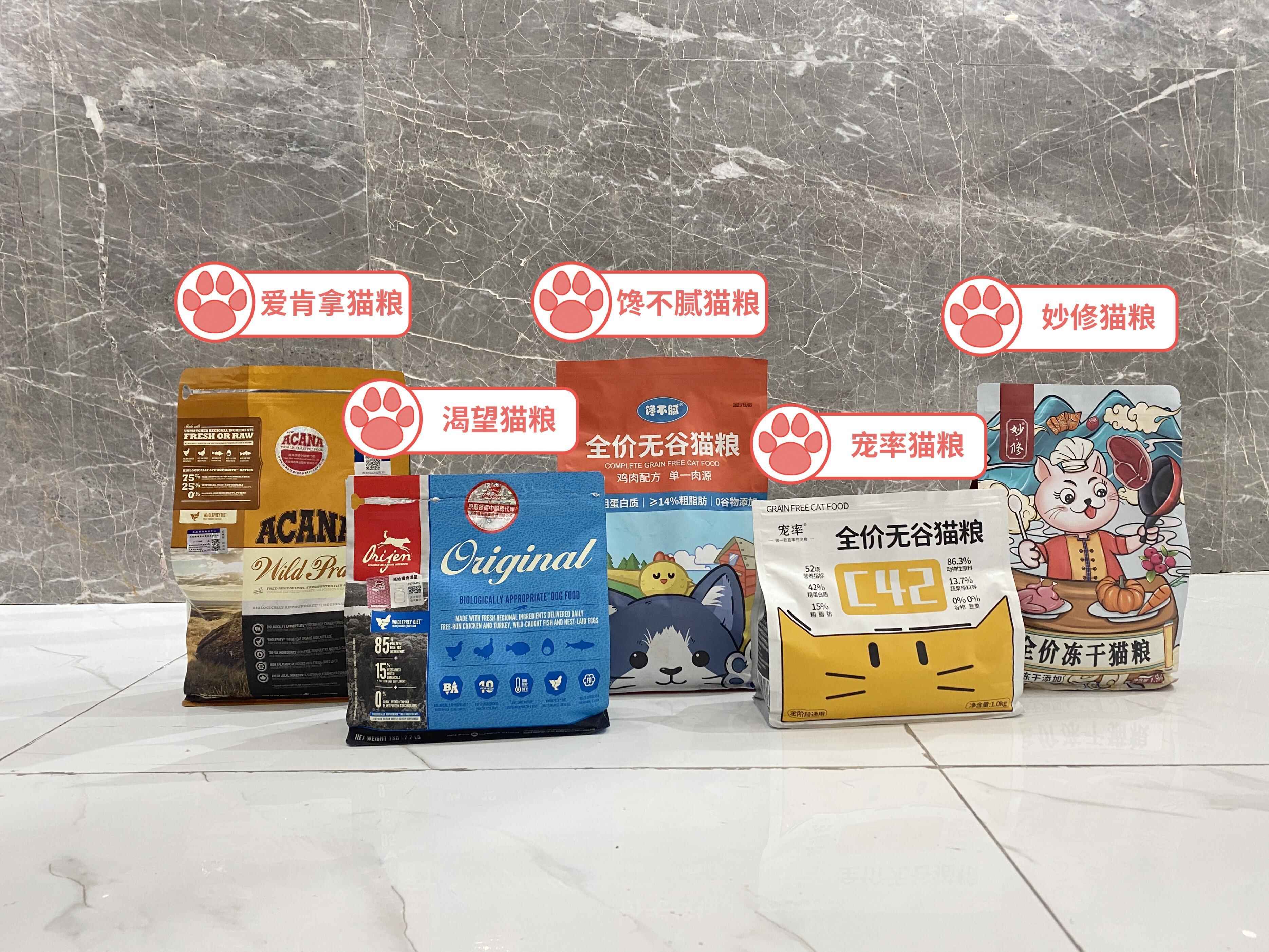 猫咪突然抽筋吐白沫然后死了,猫咪吐白沫水是怎么回事