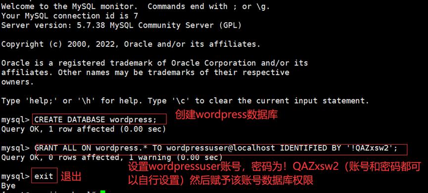 看我如何连夜自建网站背刺我的求职对手们