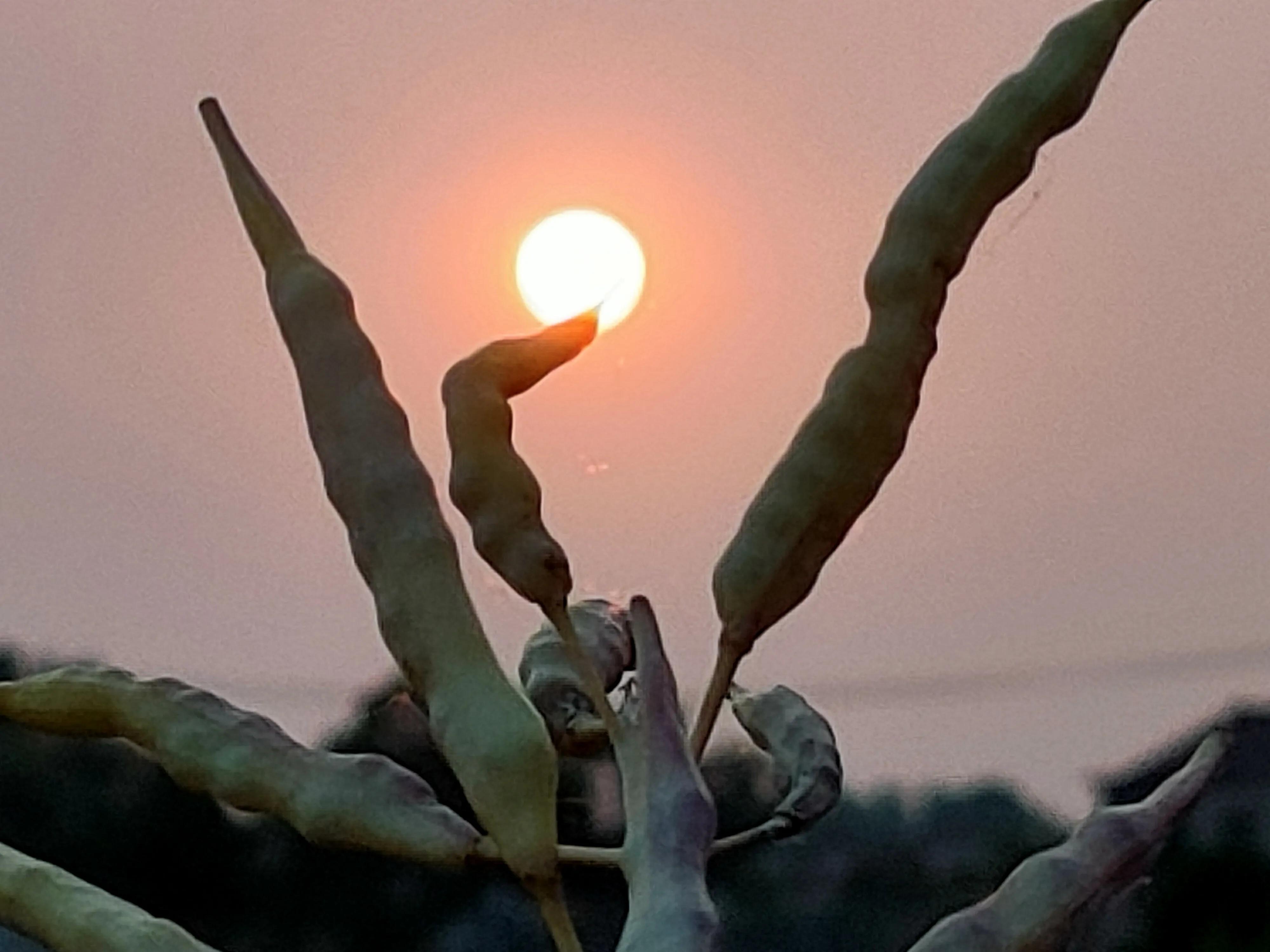 农村人是最美的劳动人,农民是最轻松的职业