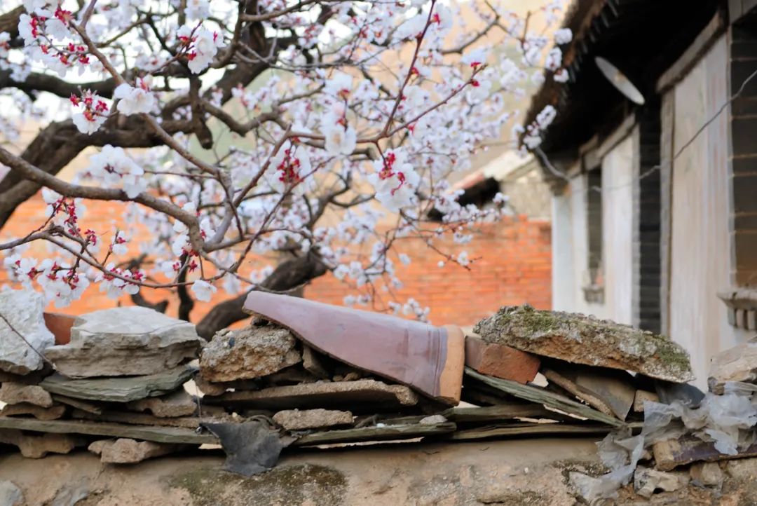 林深时见鹿溪午不闻钟李白,盘点李白最温柔的诗词