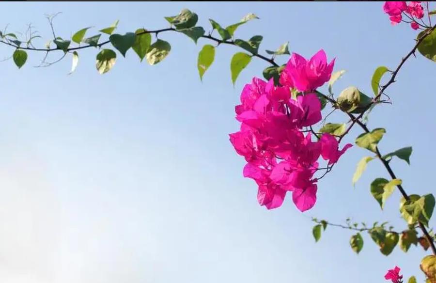 60岁老人离婚怎么办手续,60岁老人离婚会怎么样