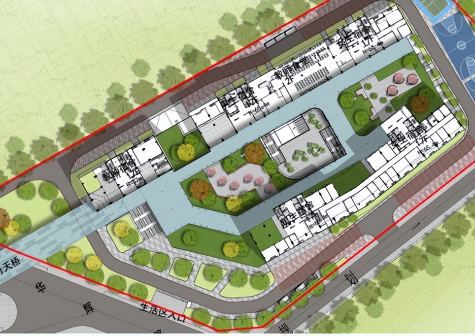 打造学生健康快乐成长的“林中学堂”，这所深圳高中做到了！