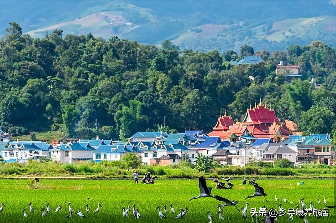 西双版纳康养过冬,康养过冬西双版纳