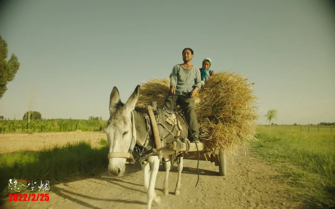 100部顶级震撼的电影,十部顶级震撼的大片