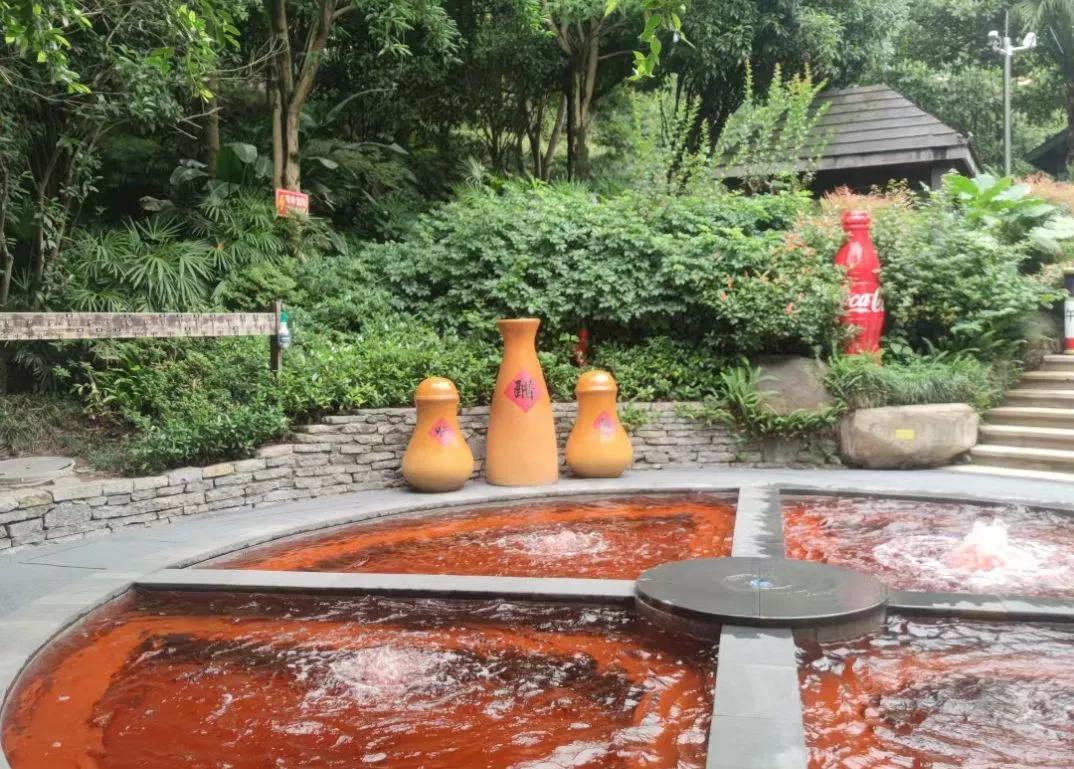 重庆9号线即将通车时刻表,重庆9号线今天运行状况