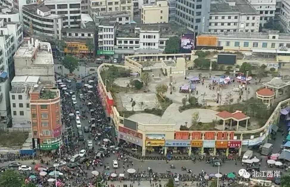 养活我们的菜市