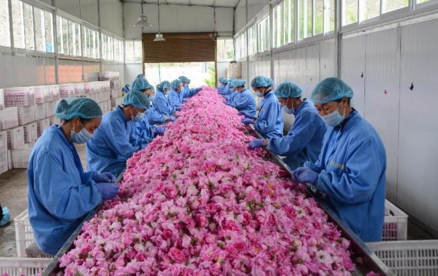 小金县扶贫,小金助力三农