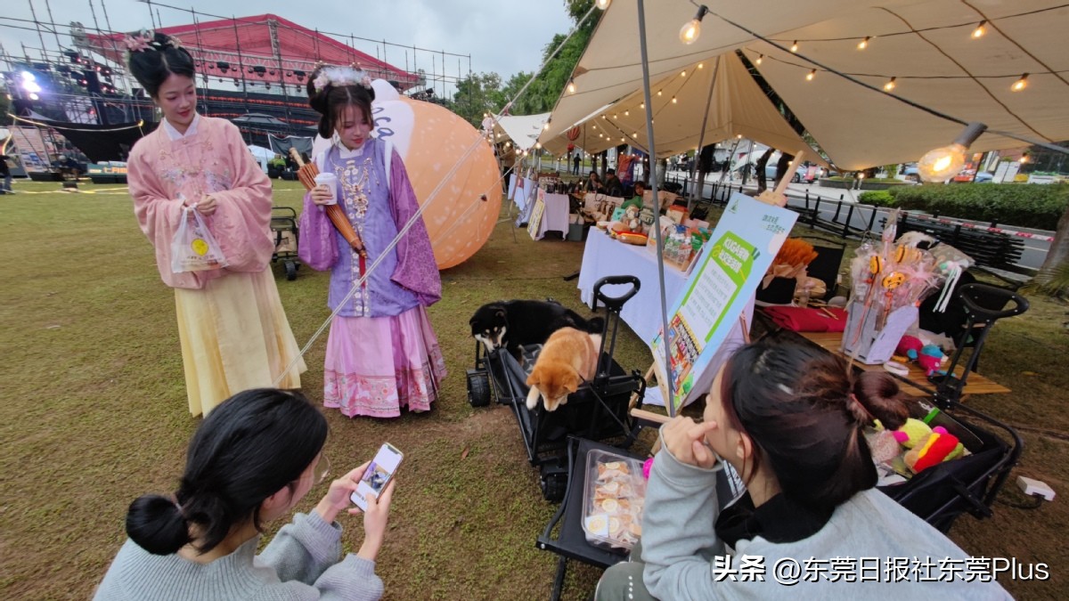 东莞市民摄影节,东莞市民摄影周入尾声