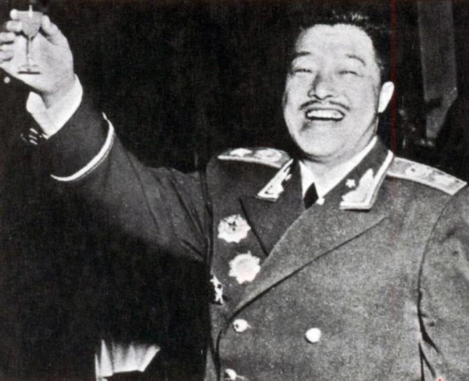 解放战争师长军长有谁,建军大业中的贺军长是谁