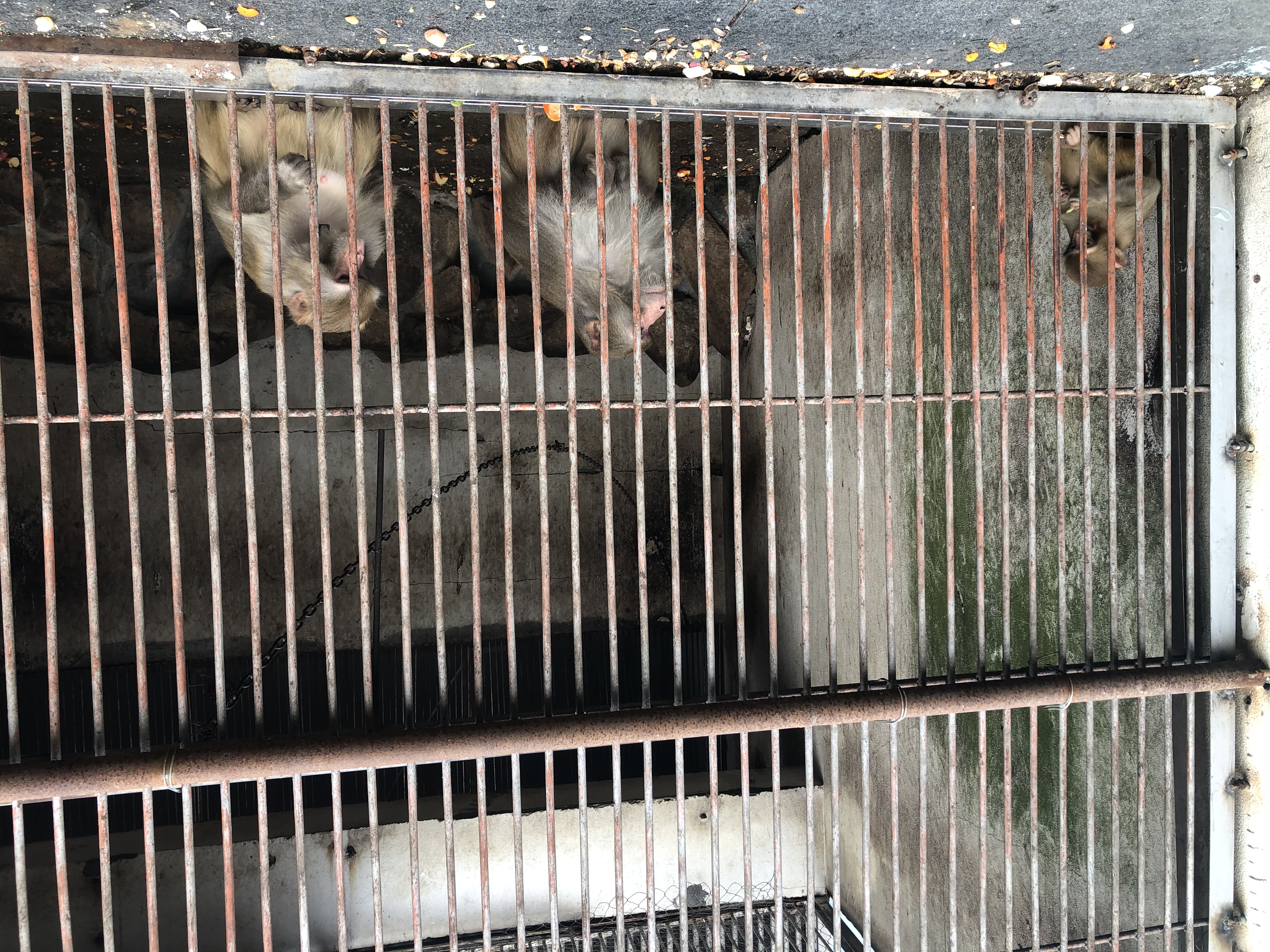 杭州美丽的山水公园,杭州临平山公园