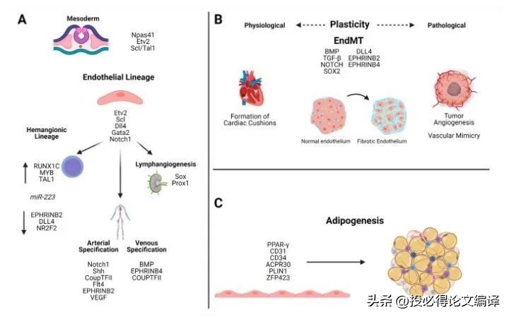 博士生看什么网站或者论坛,研究生博士生有空闲时间玩吗