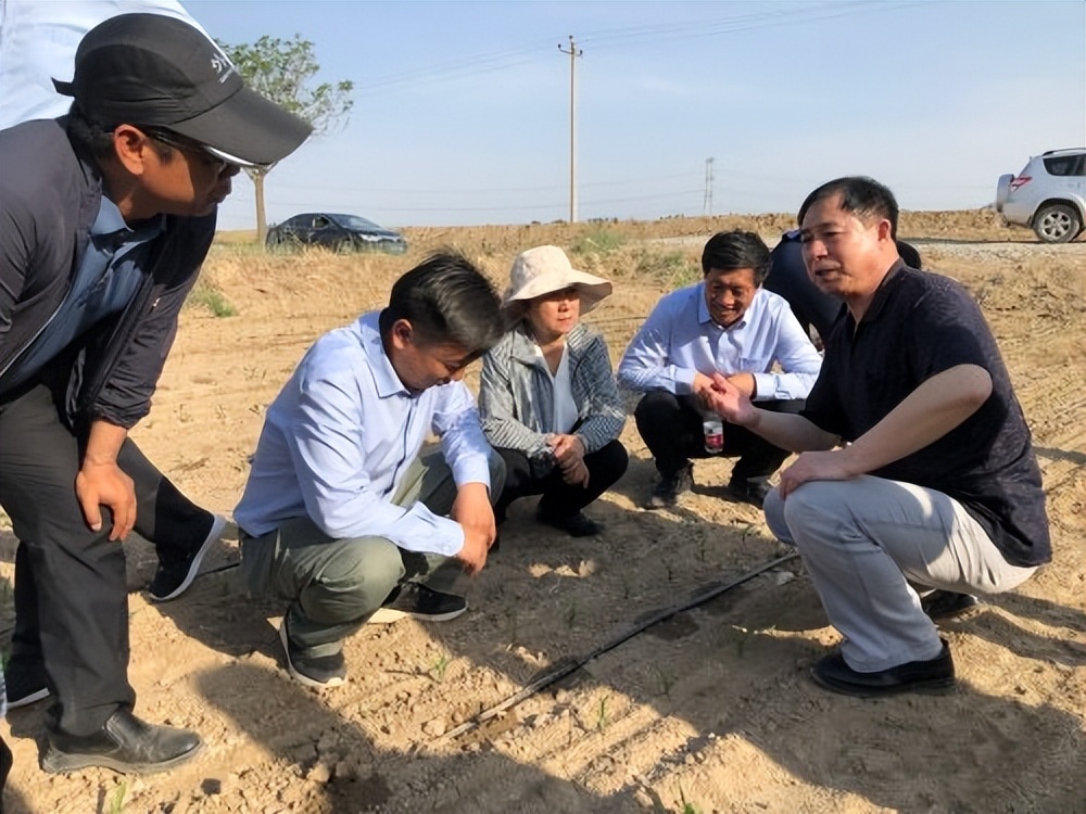 智慧农业助力丰产增收,智慧农业助力农民增收