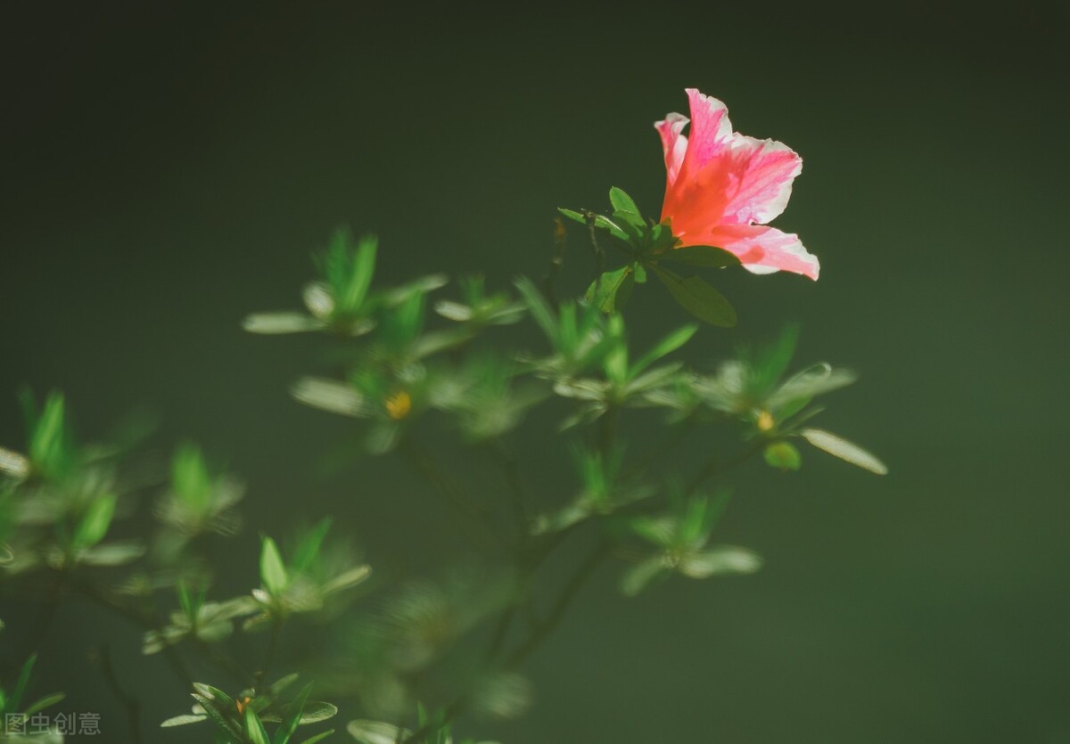 人生感悟文案短句干净治愈,微信个性签名文案短句干净治愈