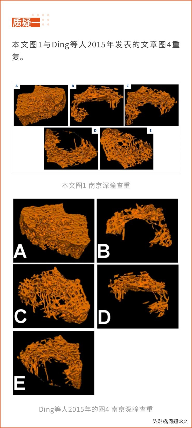 来自山东、湖北、江苏及辽宁等地医院的5篇论文竟都存在图片重复