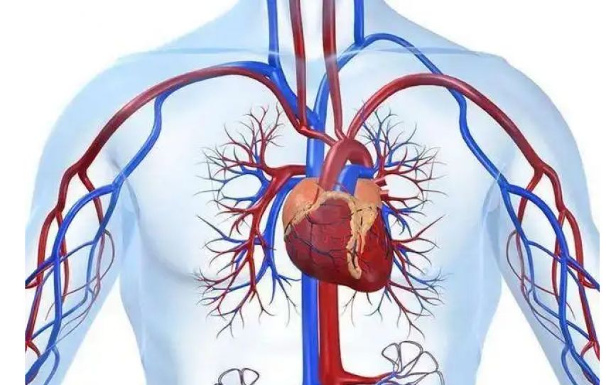 人中弹后的真实后果,中弹后真实现状