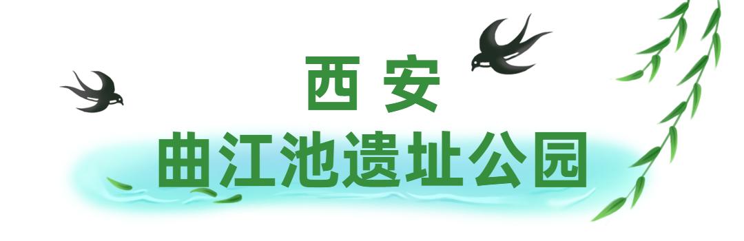 骑行打卡景点,湿地骑行观风景