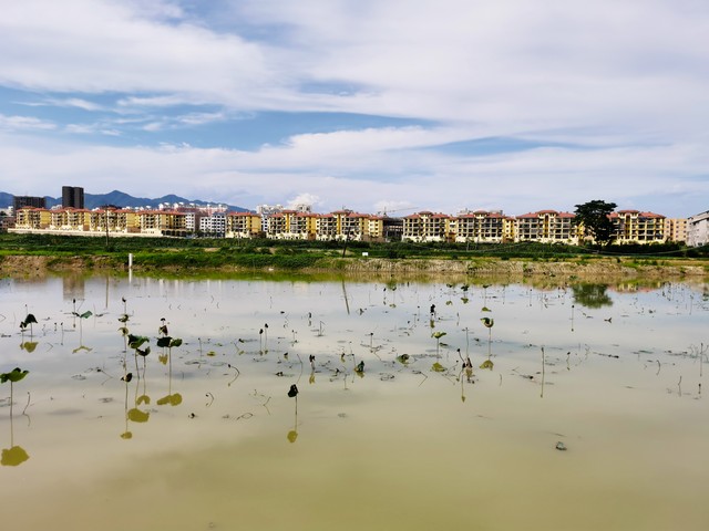 90后创业养殖小龙虾,养小龙虾一亩多少利润招工人