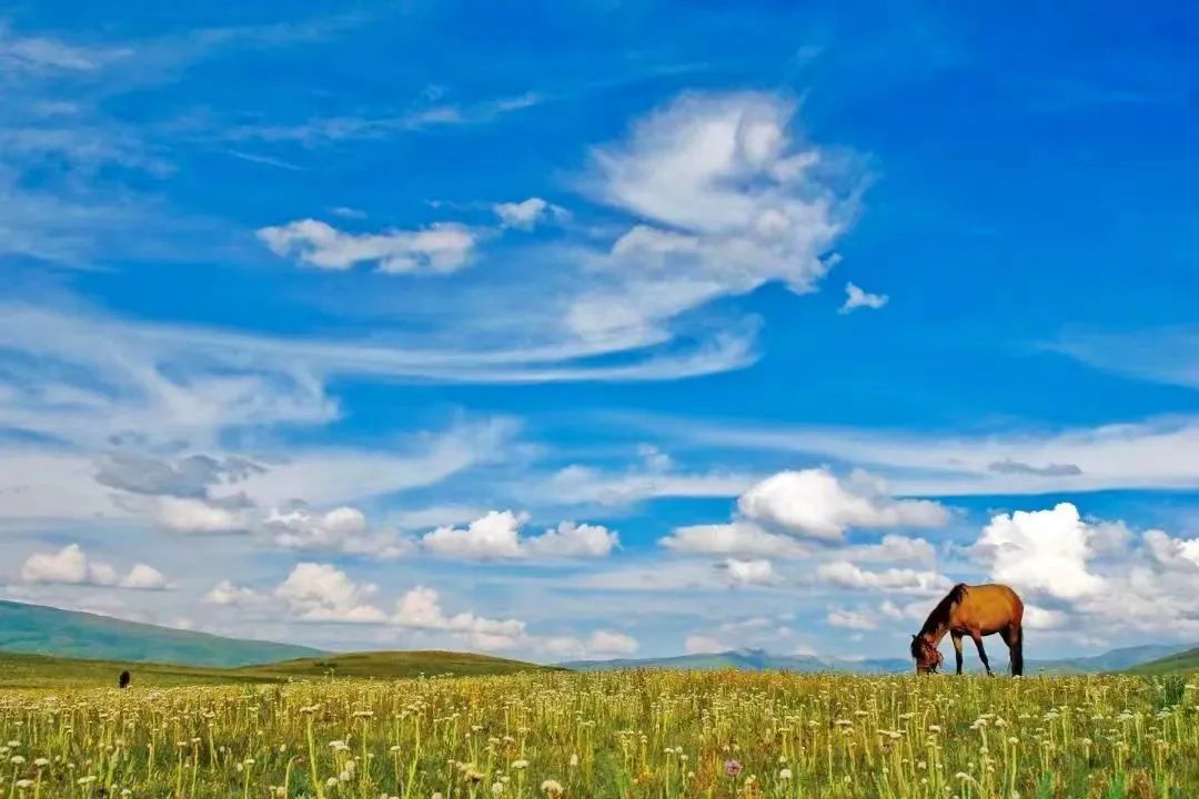 走甘孜,理塘甘孜县