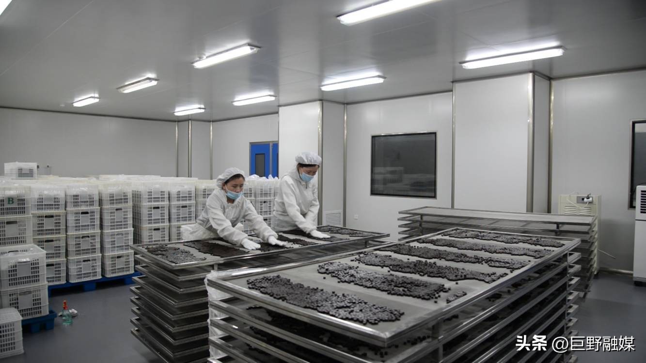 鲁润牌阿胶功能主治,鲁润阿胶2016年价格