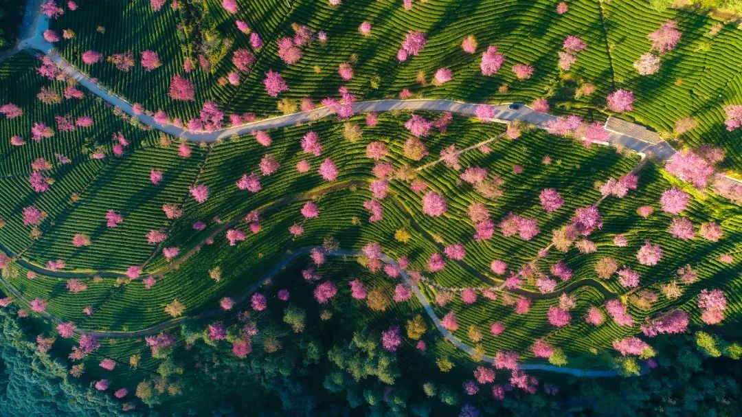 2016年至今昆明旅游的人数,2023年昆明旅游的人多吗