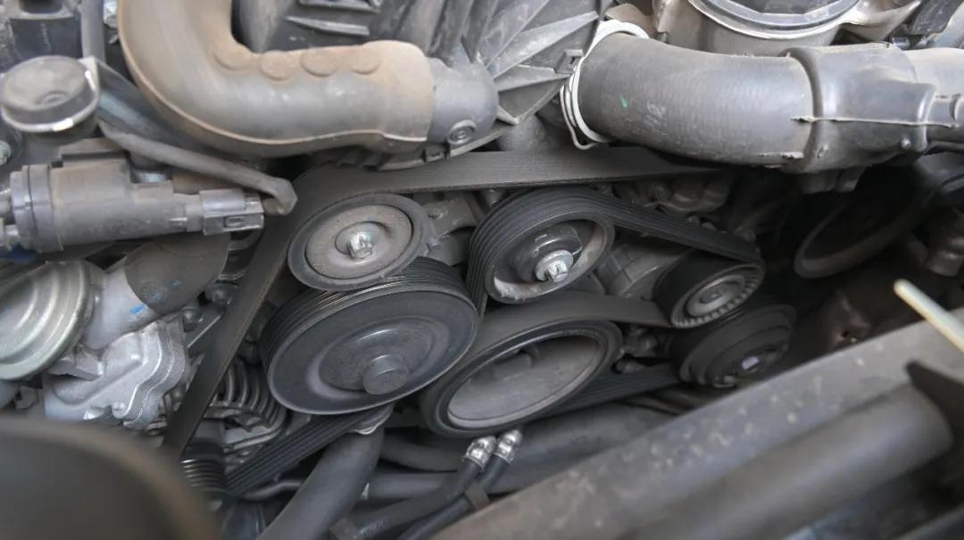 诺总日记,诺总日记最新视频