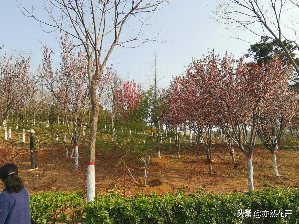 如何提高故事写作能力,学习写作技巧的感悟