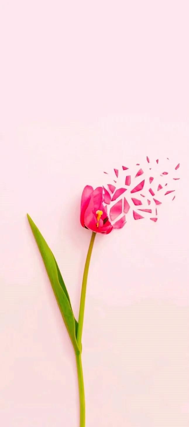 手机壁纸大全超好看动态,壁纸超清4k手机壁纸男生专用