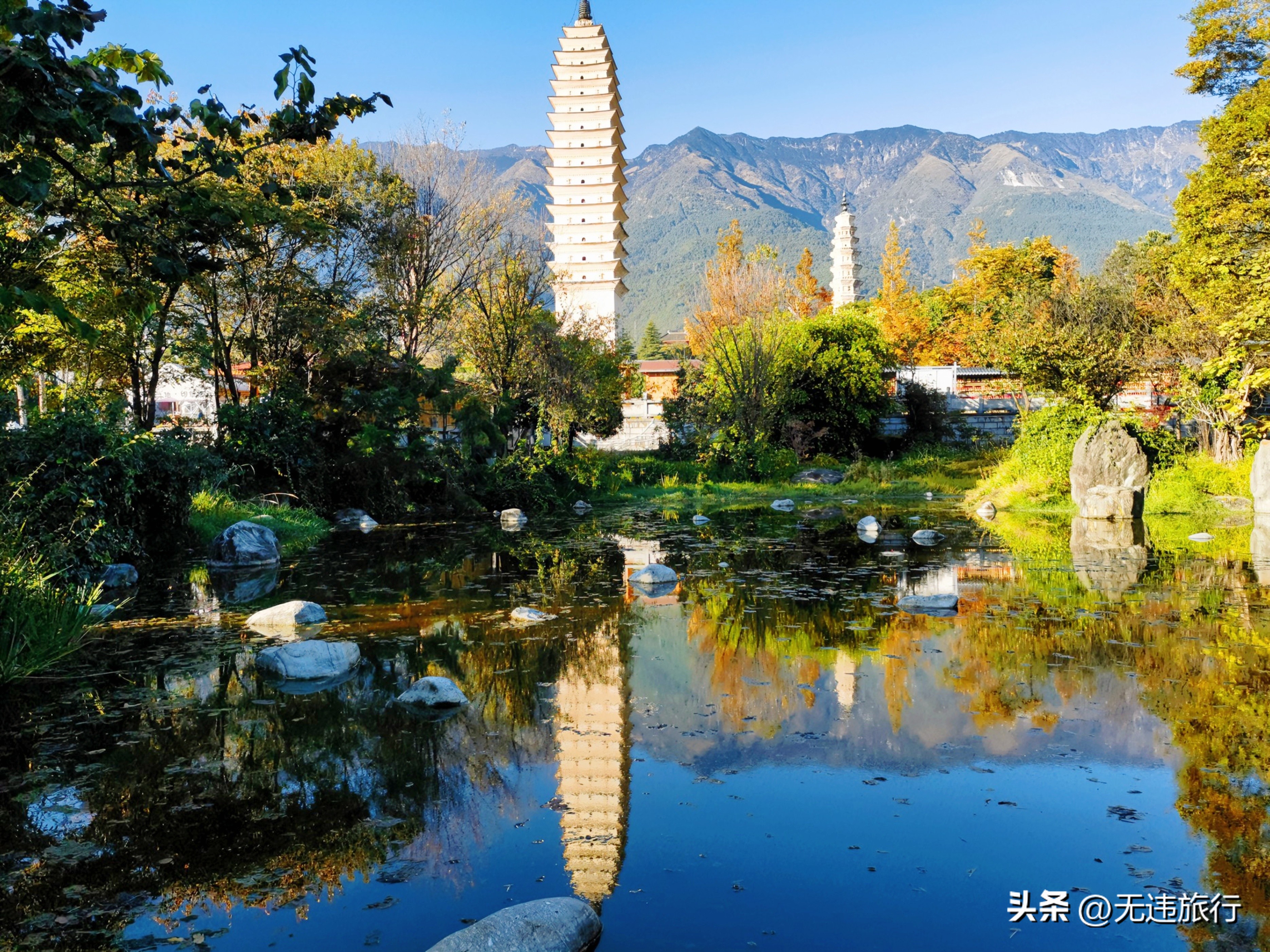 大理古城银杏叶美景,大理崇圣三塔附近景点
