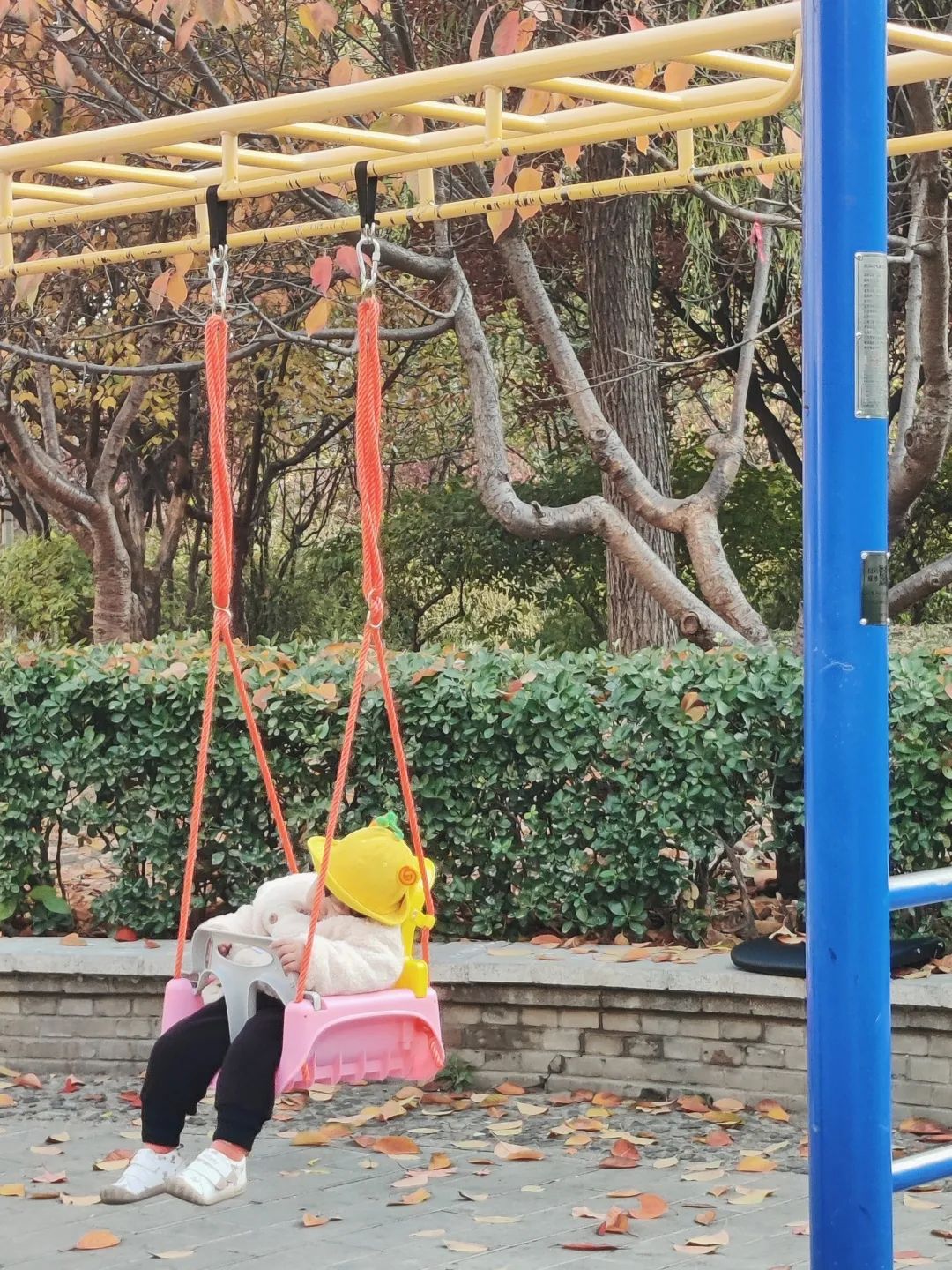 2022年这些瞬间温暖了我们,2022年的一切回顾