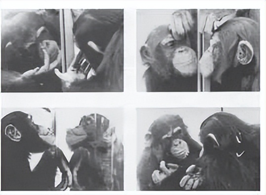 关于世界与未来的预言,世界的十大猜想