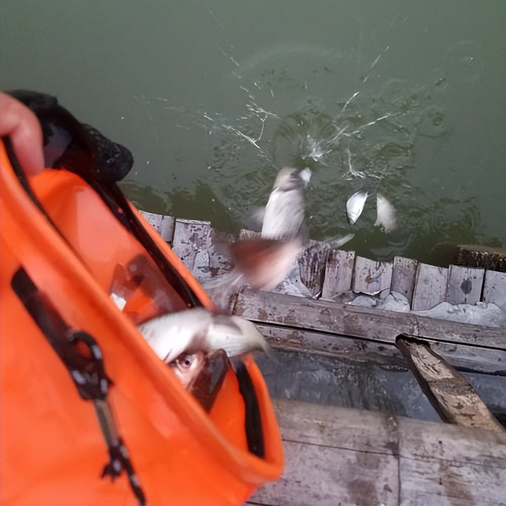 十大经典重生经商小说书单推荐,都市重生创业类小说书单推荐