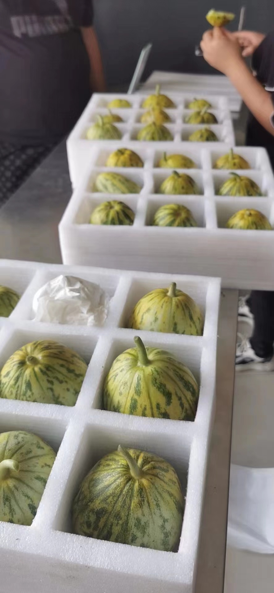 “提速”、“锁鲜”顺丰高效物流供应链助力时令水果“网”上行