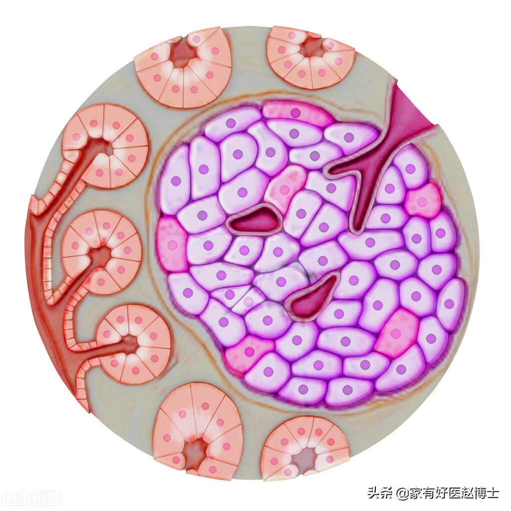 体内胰岛素严重分泌不足如何治疗,胰岛素轻微抵抗怎么办