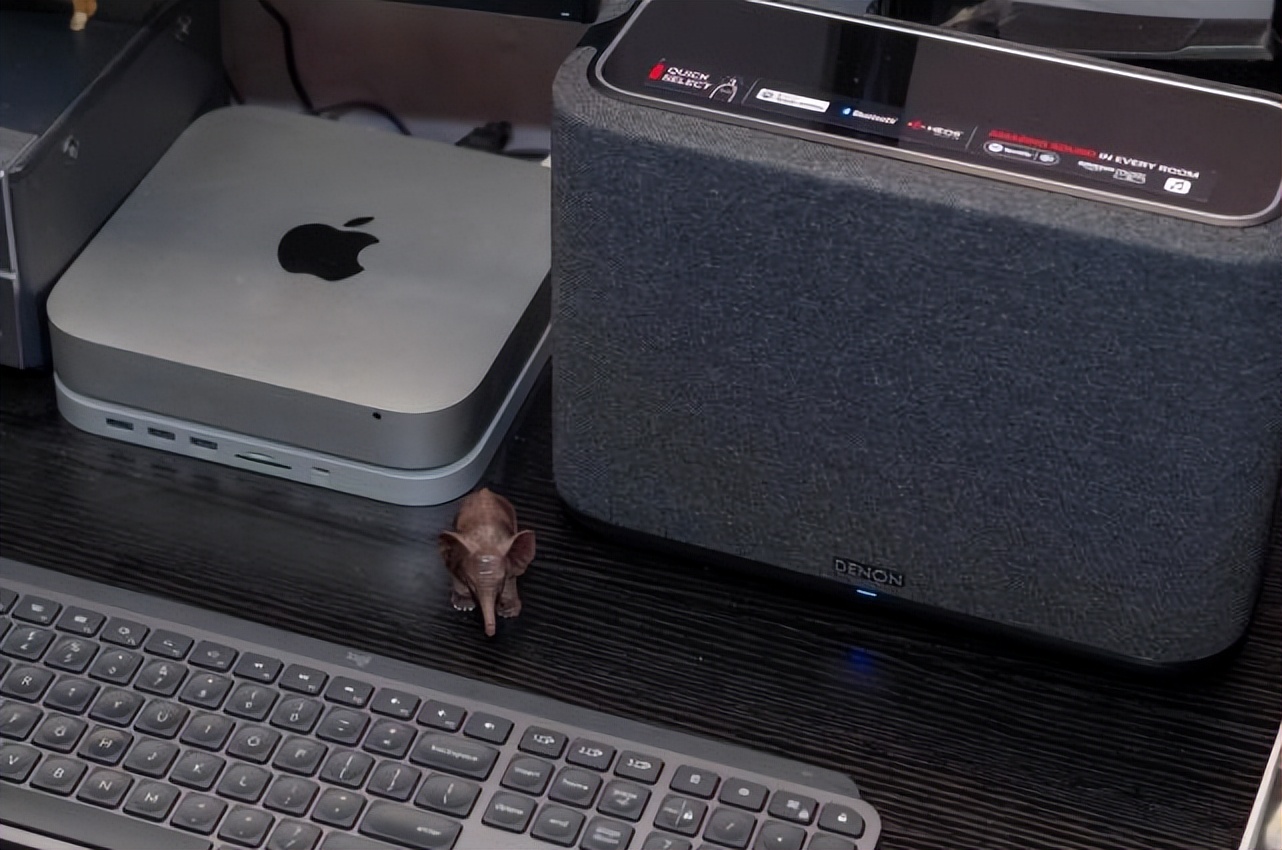 denonhome250和350区别,经典与时尚碰撞视频