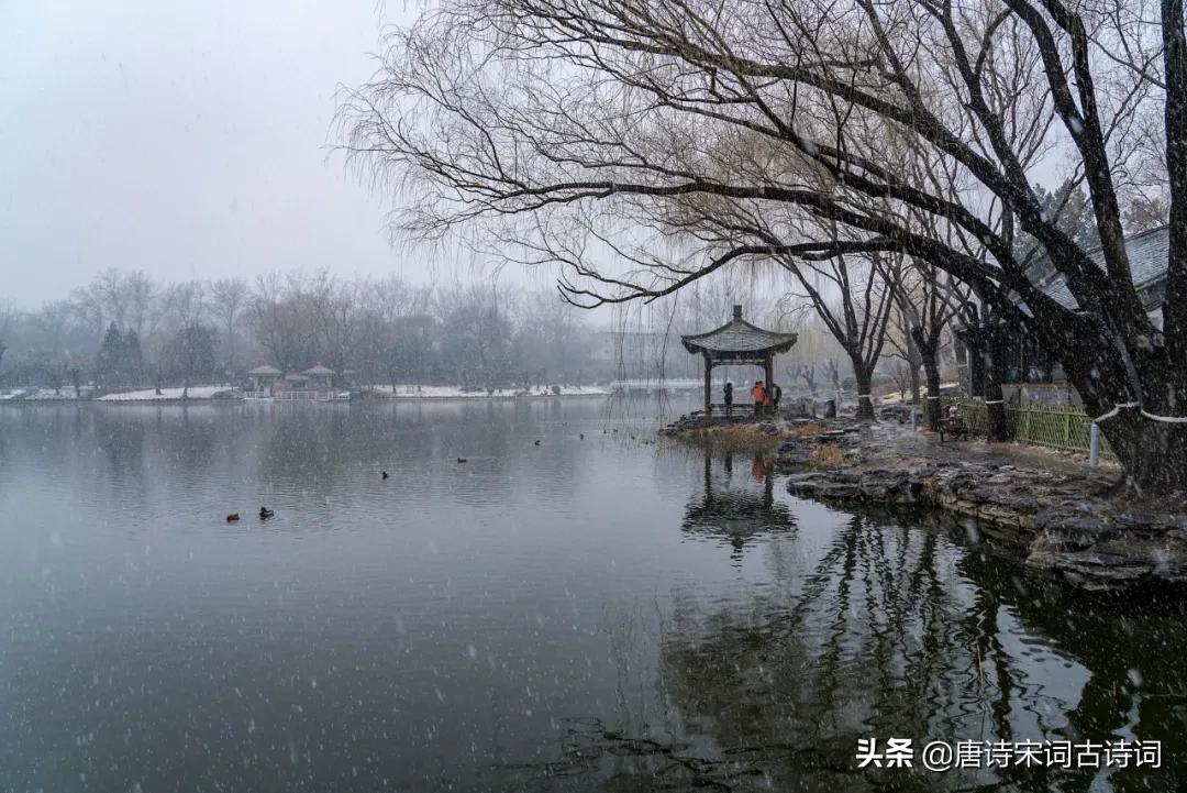 带你去看一场春雪,来吧去看一场雪