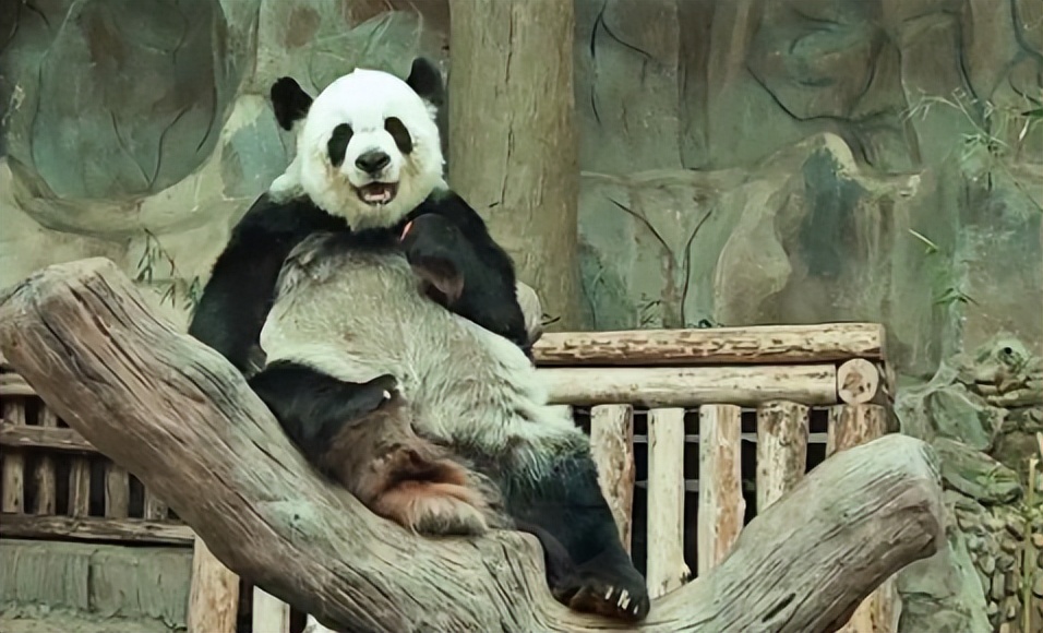 五一的泰国机场,泰国旅游现状机场空无一人