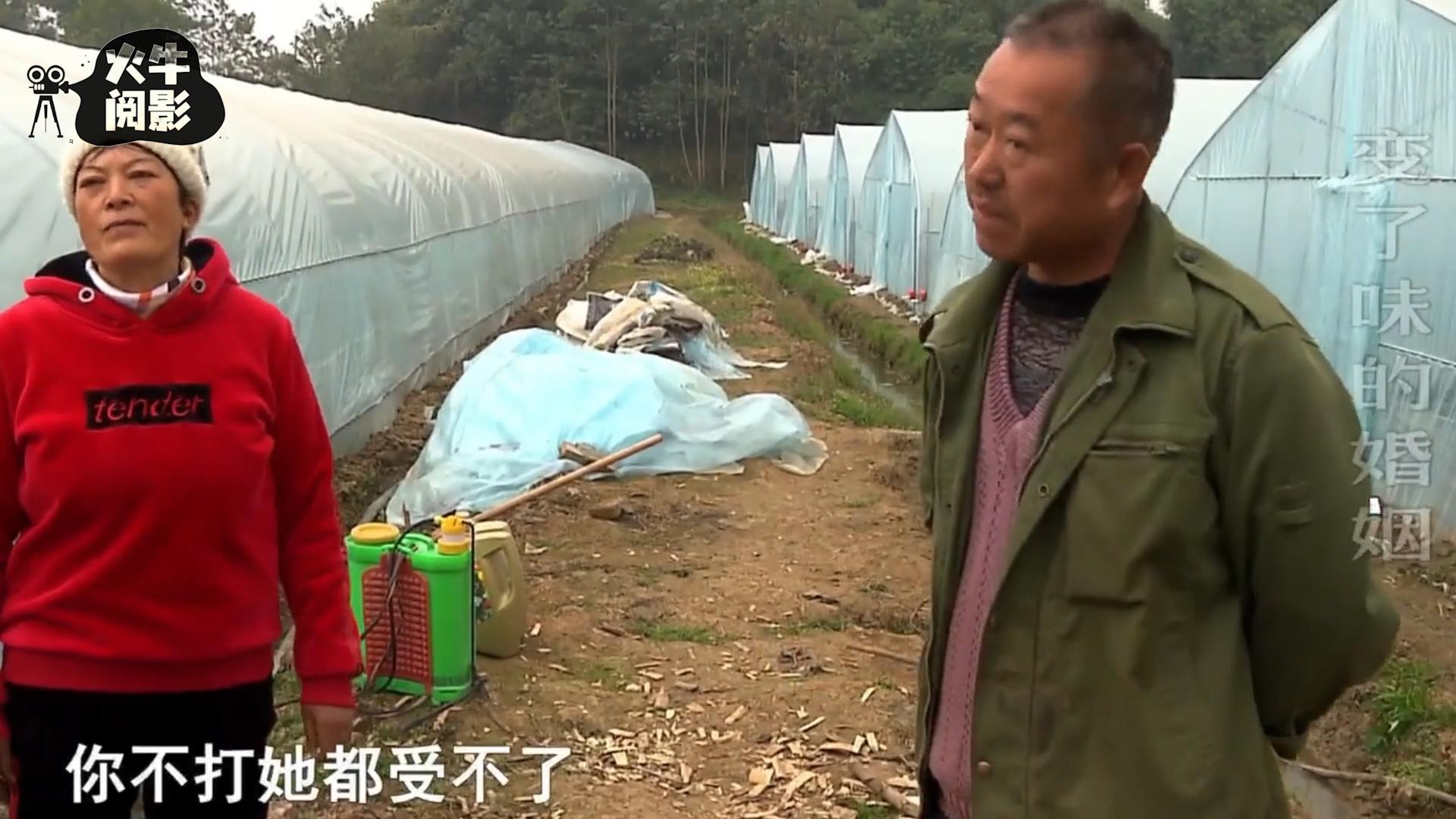 二婚丈夫独占百万家产，常年家暴逼离婚，妻子：从宝贝变成垃圾