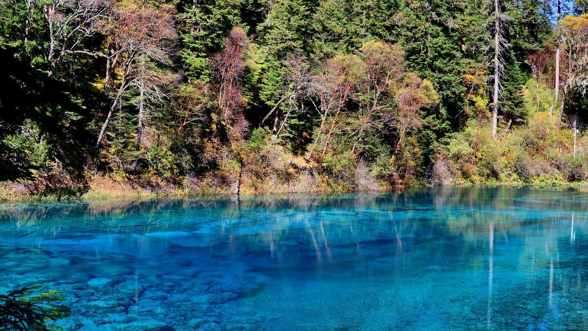 四川九寨沟游玩攻略自由行方案,四川九寨沟玩4天旅游攻略