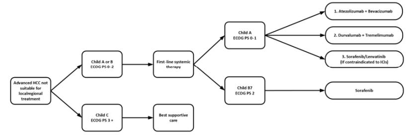 肝癌晚期：国际上常见治疗药物有哪些？