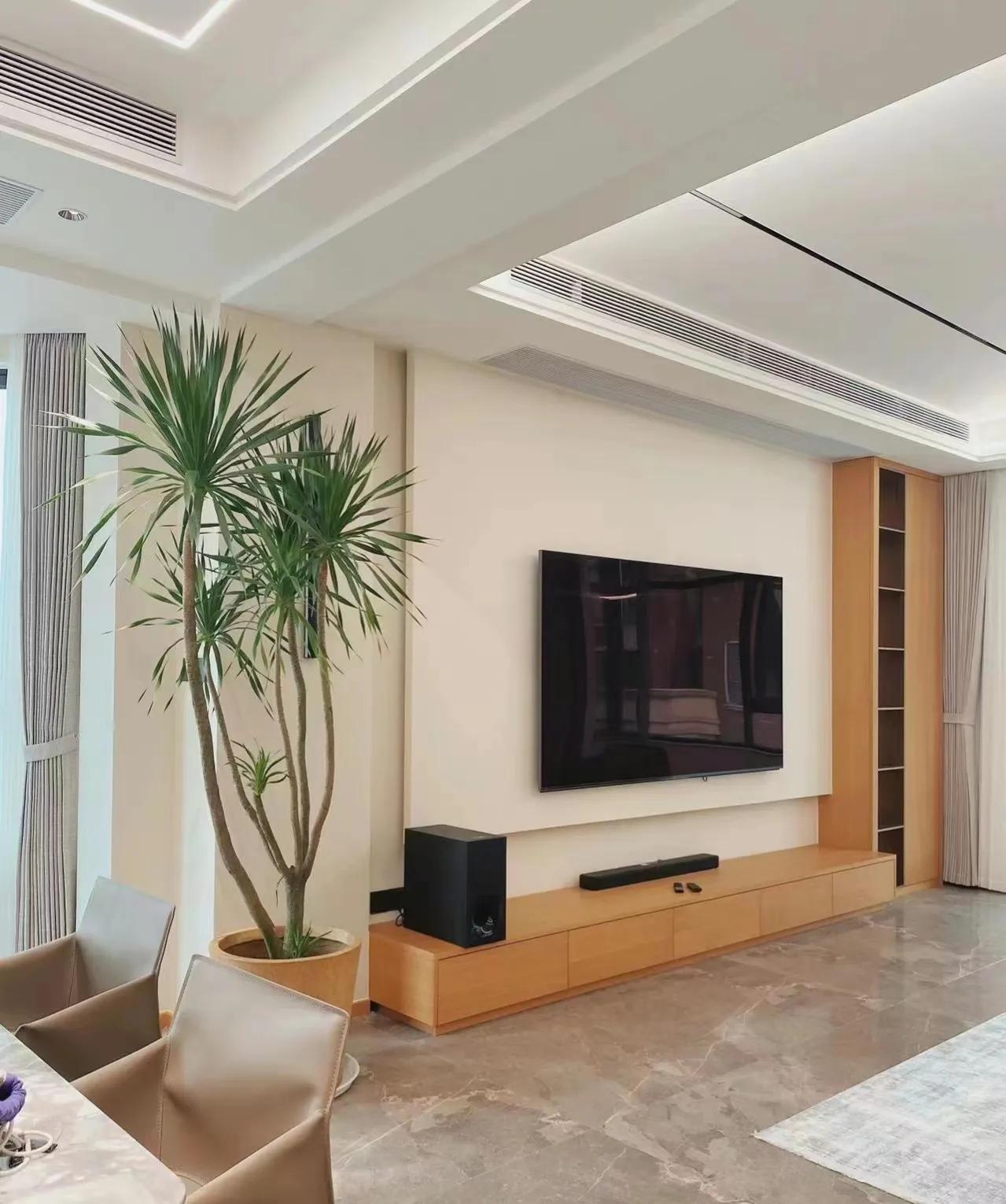 最好养的客厅一对大盆绿植,适合客厅养的十款大盆绿植