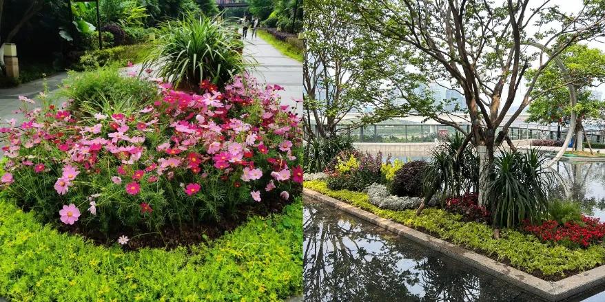 重庆万科物业好评,万科物业生活因幸福而美好