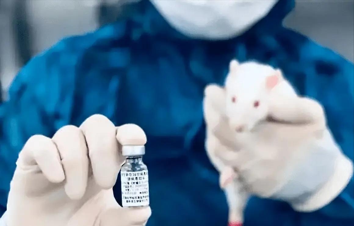 大学生为了5000钱毁了自己的一生,大学生为了钱毁了自己一生